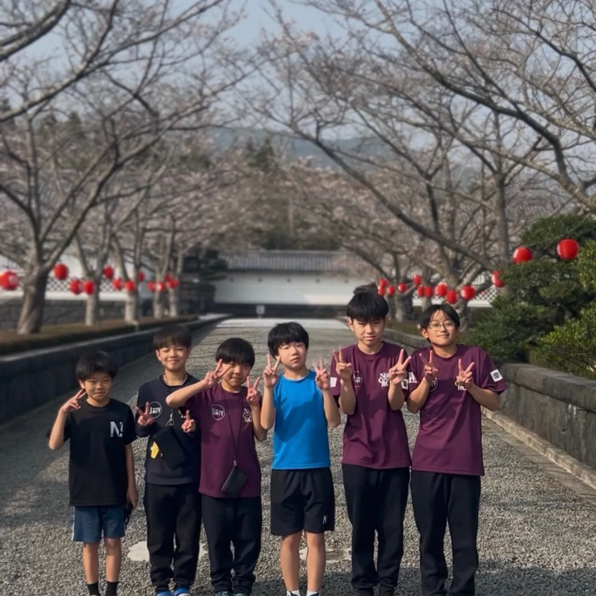 森岡城大さくら祭り🌸